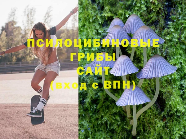 МДПВ Янаул